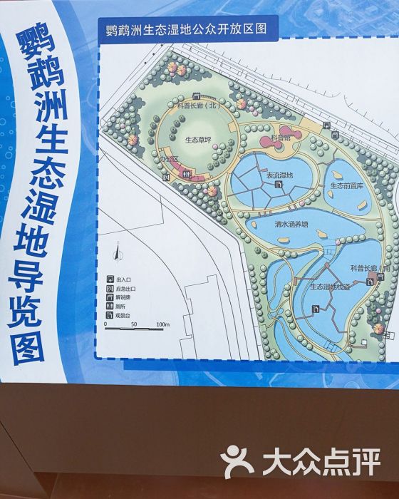 鹦鹉洲湿地公园图片 - 第38张