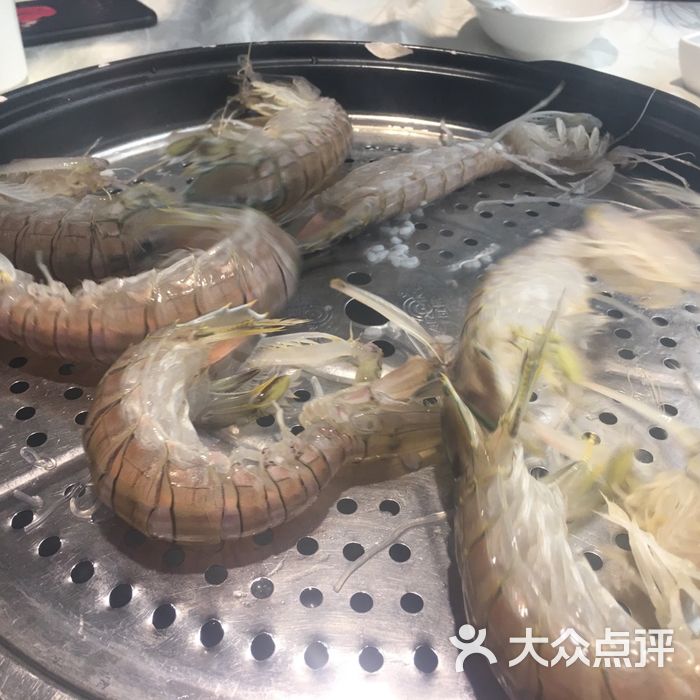 越百海海鲜蒸锅