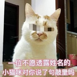 nkwBkpjWViktfDIwnqcLZdsHXWBPK5kEz3xeJ78fwUQTjrStG4uO_FV9GT2BP8BLuzFvxlbkWx5uwqY2qcjixFEuLYk00OmSS1IdNpm8K8twhW7bzr4O88Ivp4FuDG0SfCF2ubeXzk49OsGrXt_KYDCngOyCwZK-s3fqawWswzk.jpg