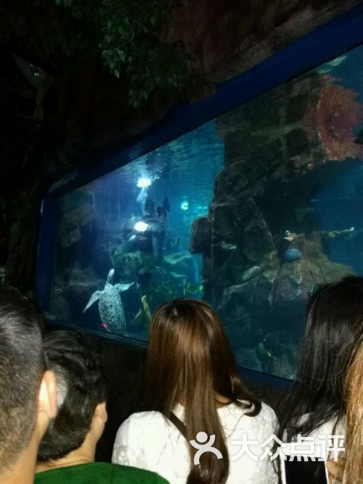 蠡湖中央公园海底世界