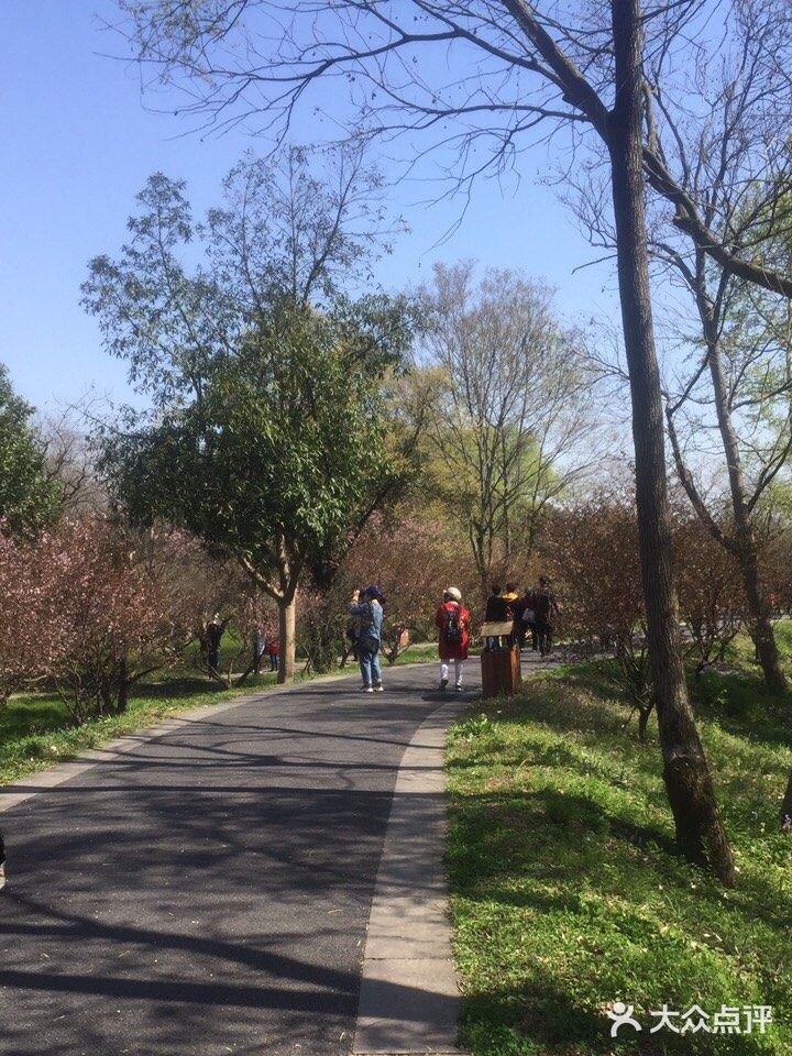 西溪湿地生态公园,风景已经很美,大地已经复苏