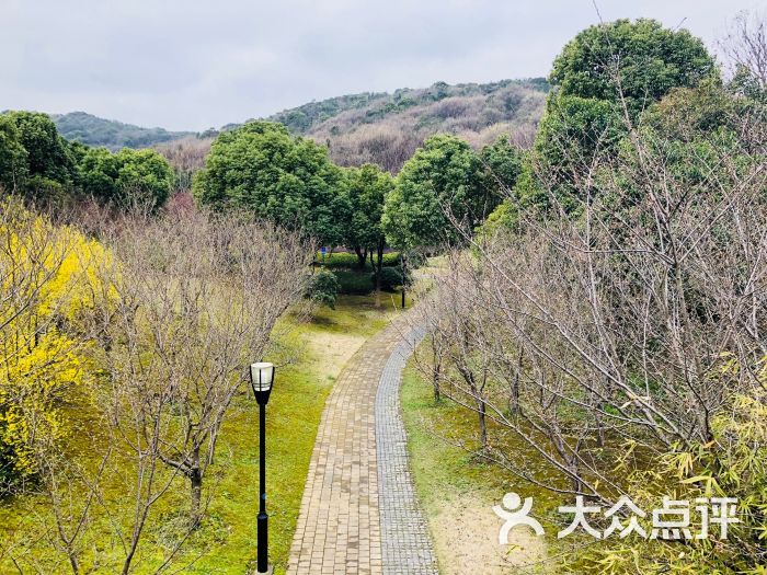 宝界山林公园图片 - 第36张