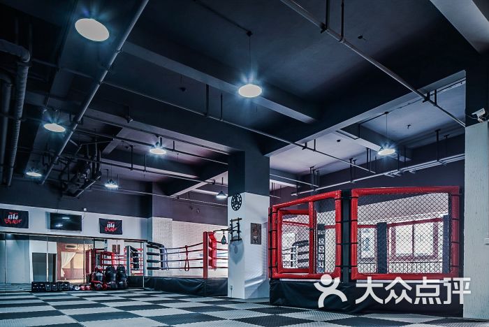 比斯特综合格斗俱乐部-训练区2图片-温州休闲
