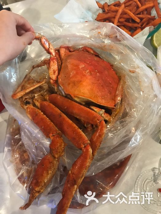 dungenesscrab