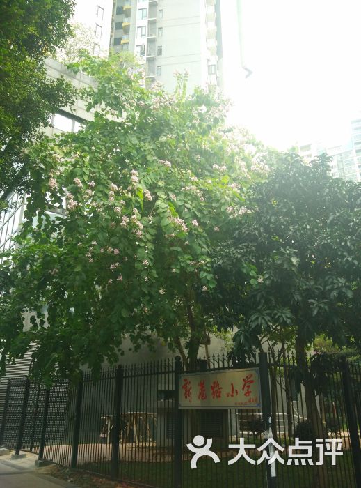 新港路小学图片 - 第6张