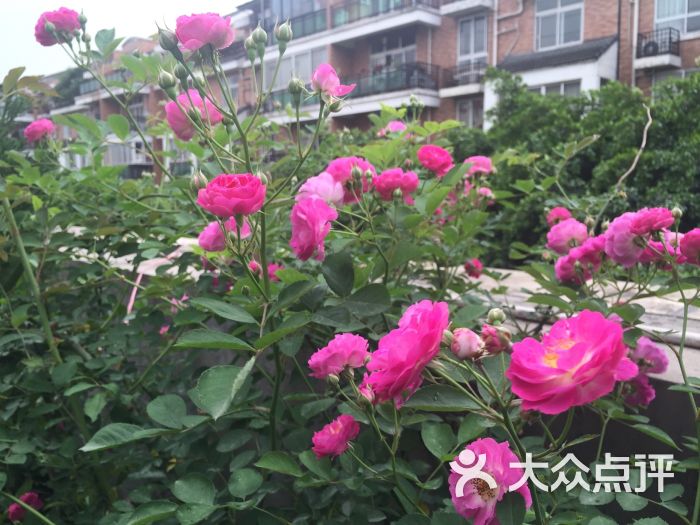 悦动健身服务部-图片-成都运动健身-大众点评网