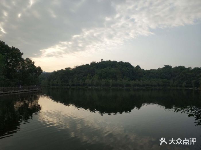 到七中旁的烤鱼一条街吃饭,下车还早,看见.-重