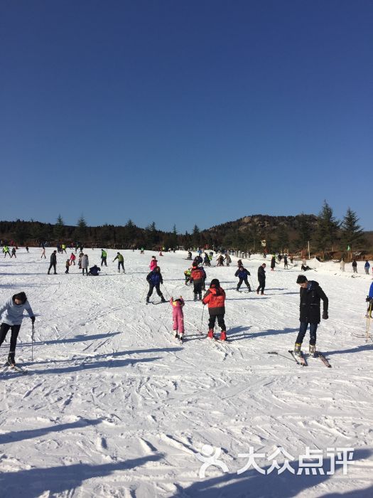 雪山彩虹谷森林滑雪场图片 - 第4张