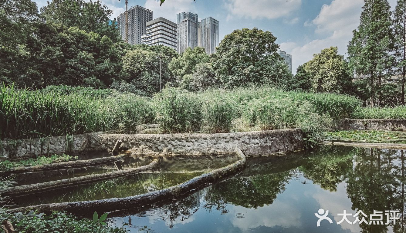 成都活水公园,孩子们喜欢的免费玩水地.