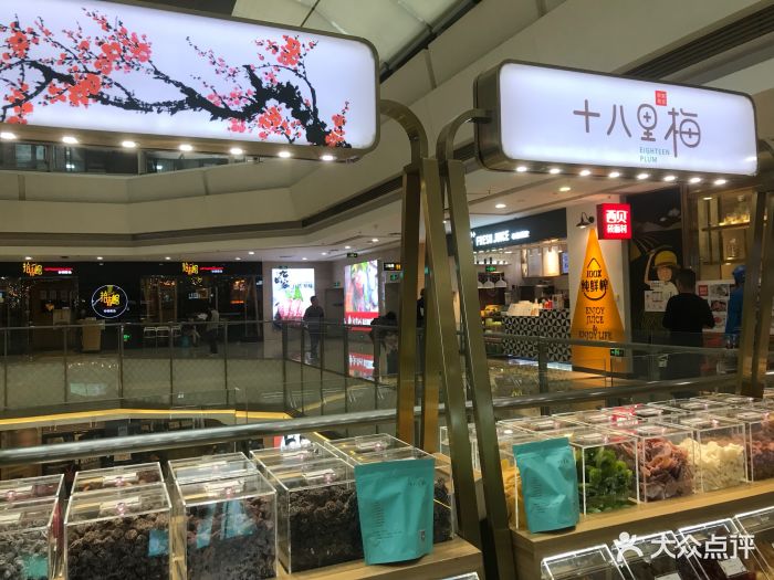 十八里梅图片 - 第3张