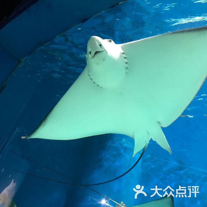 长春中泰海洋世界