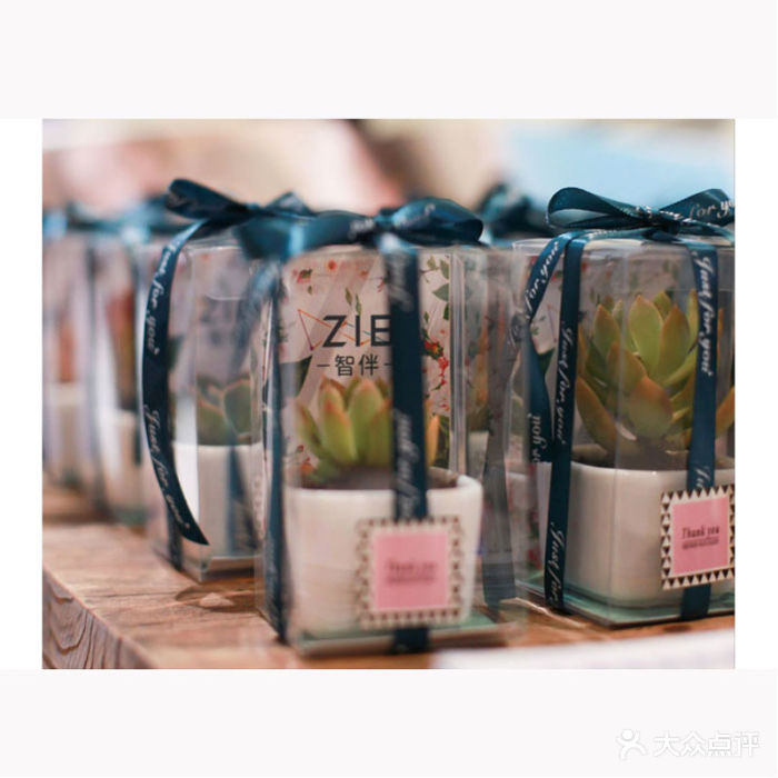 顺心多肉-结婚多肉回礼伴手礼图片-沈阳结婚-大众点评