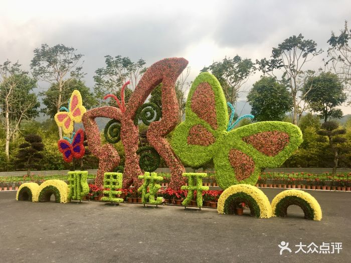 那里花开主题公园图片 第24张