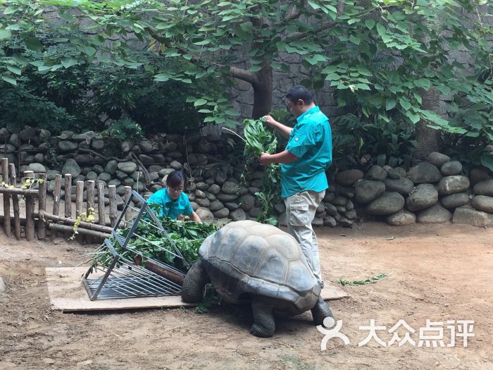 北京动物园景点两栖动物爬行馆图片 - 第3049张