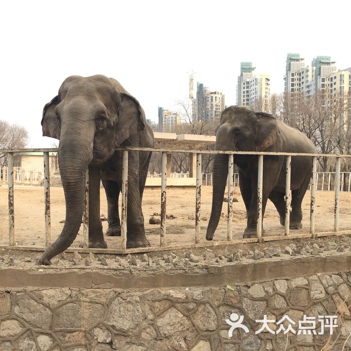 天津动物园图片-北京动物园-大众点评网