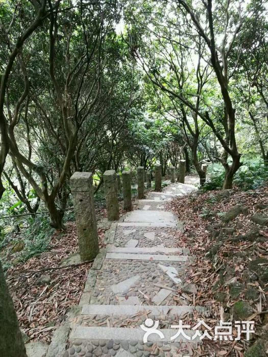 银湖山郊野公园图片 - 第5张