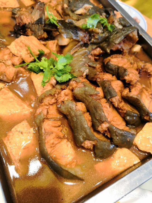 白洋淀饭店-鲶鱼豆腐图片-涿州市美食-大众点评网