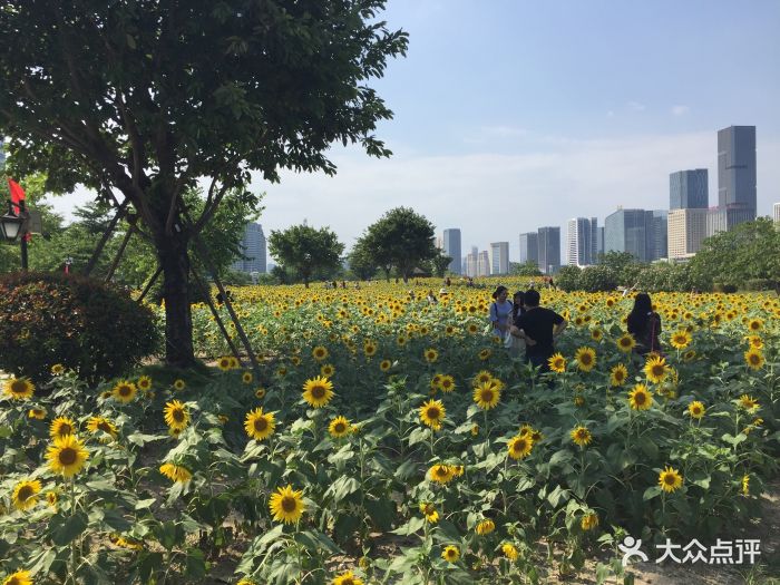 福州花海公园图片 - 第17张