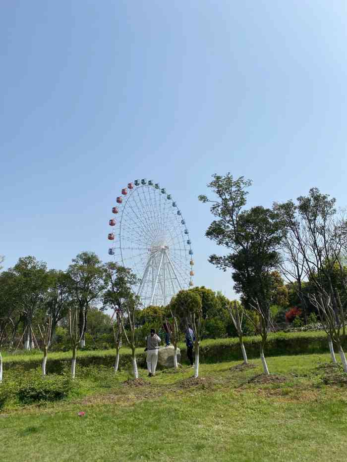 苏州湖畔花语景区-"星期天和姐妹约好去太湖园博园看