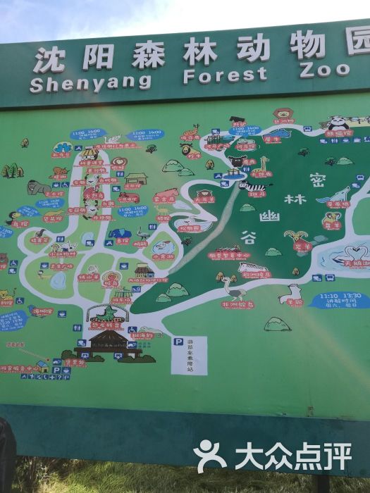 沈阳森林动物园图片 - 第2张