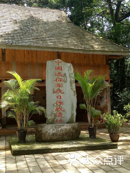 独树成林景区-图片-勐海县周边游-大众点评网