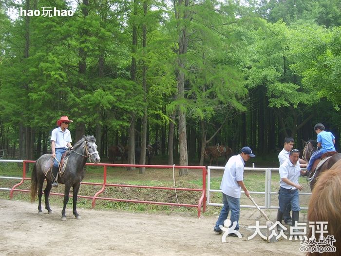 共青国家森林公园跑马场5图片-北京自然风光-大众点评网