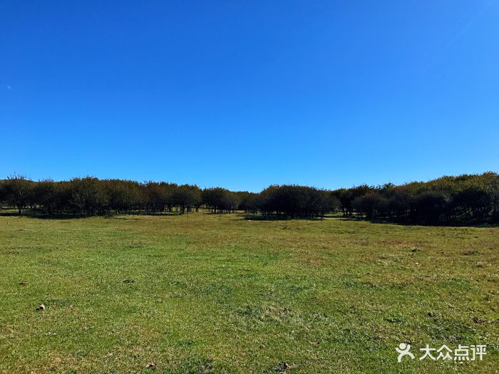 御道口草原森林风景区图片 - 第135张