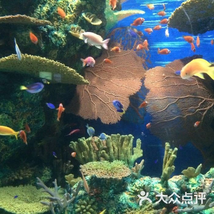 上海海洋水族馆