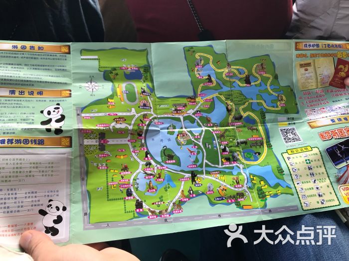 上海野生动物园图片 - 第187张