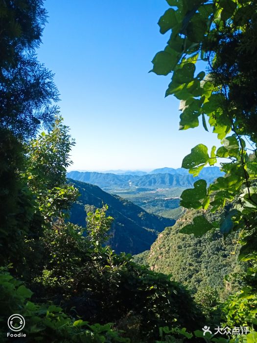 九山顶自然风景区图片 第91张