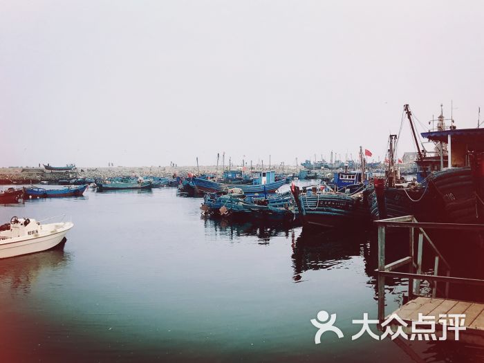 天天渔港-四季渔港饭店(老虎滩渔人码头店)图片 第121张
