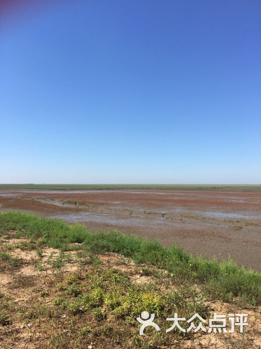 瑞诗酒店-图片-盘锦酒店-大众点评网