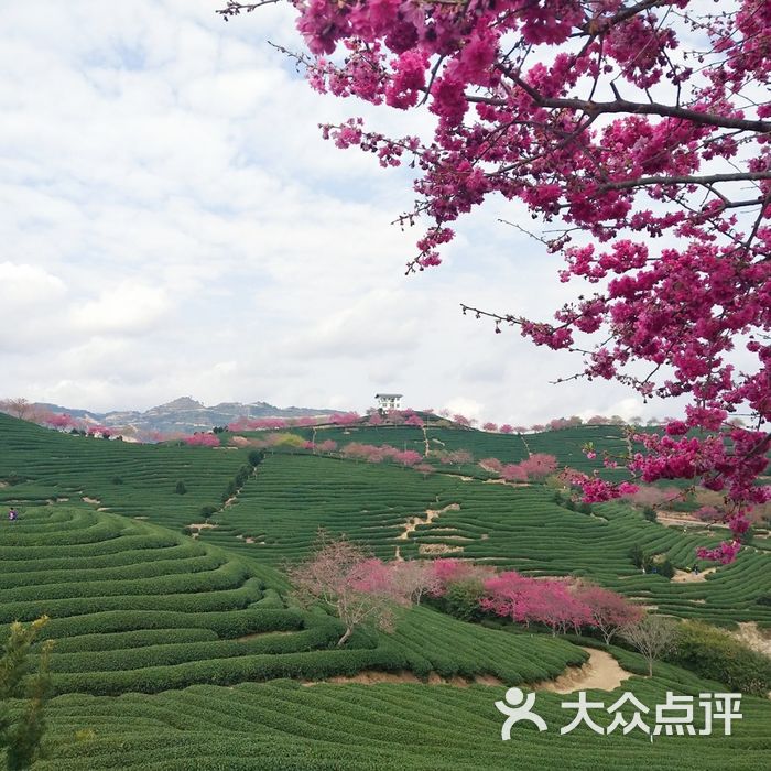 永福樱花园