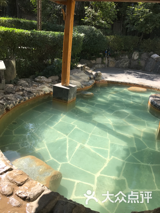 宜良县其他 汤池街道 温泉 汤池热水河温泉spa会所 所有点评