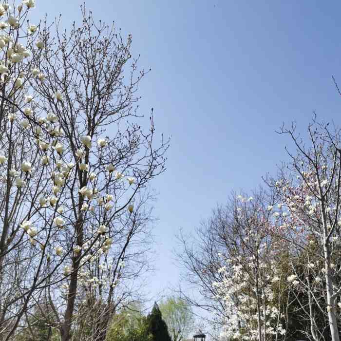 花圃公园-"花圃公园,就是以前的段店苗圃,后来经过改.