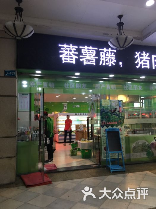 蕃薯藤图片 第2张