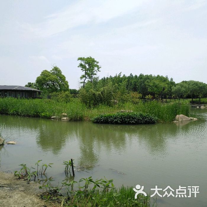 贡湖湾湿地公园