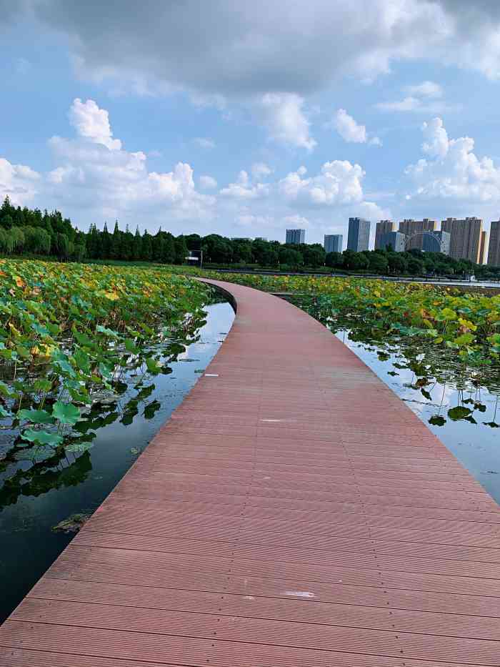 暨阳湖生态园"景色好天气好空气好 完全没用滤镜 昨天.