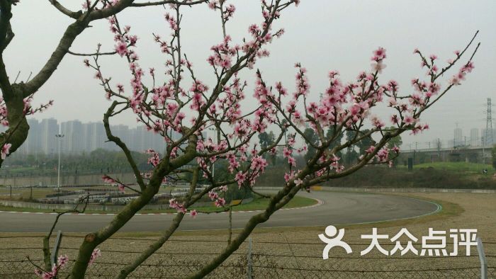 幸福梅林-图片-成都景点