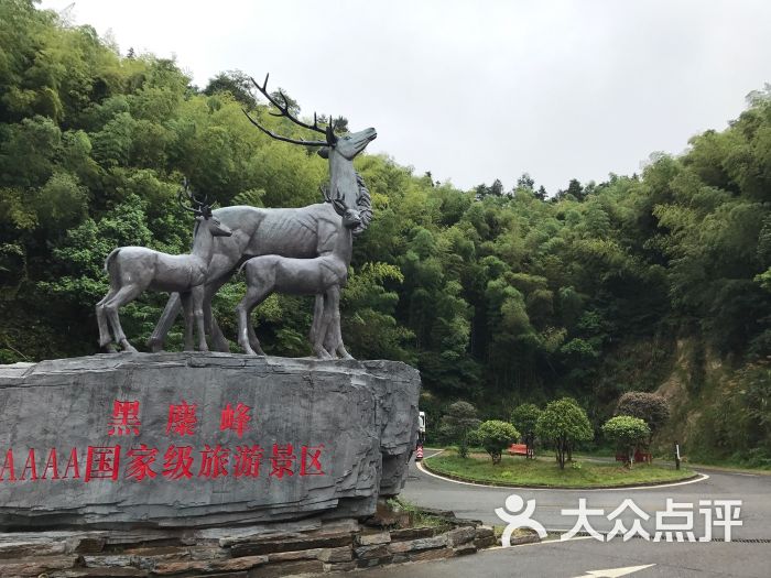 黑麋峰森林公园图片 - 第3张