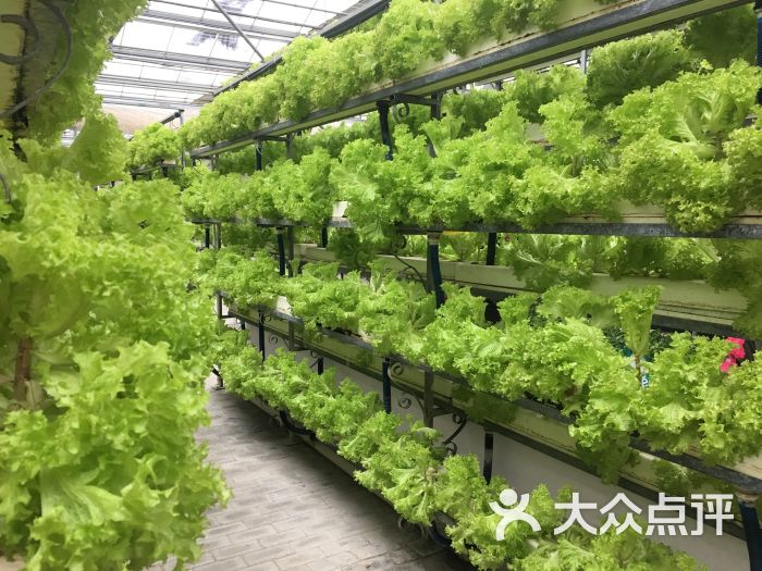 国家农业科技展示园图片 - 第14张