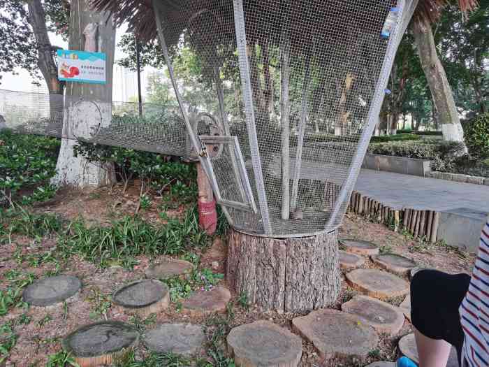 翠洲松鼠生态乐园"97到了翠洲,发现一群人围在长筒的笼子边.