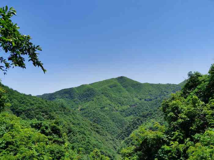 中坡山森林公园[爱心]趁着暑假的尾巴带娃来中坡山森林公.