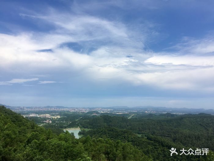 古劳茶山-图片-鹤山市周边游-大众点评网