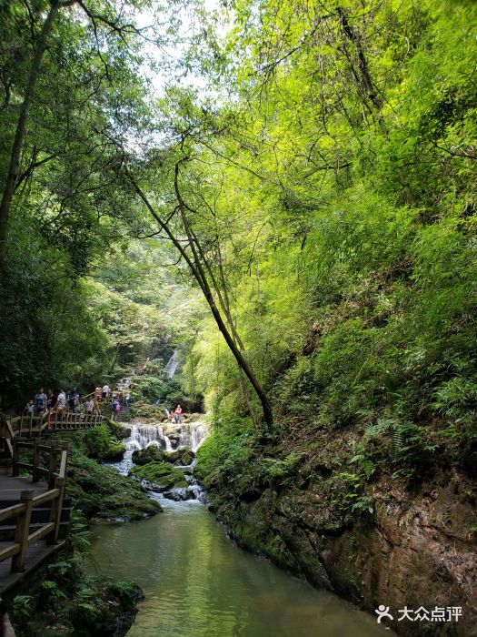 黑山谷景区-图片-綦江区周边游-大众点评网