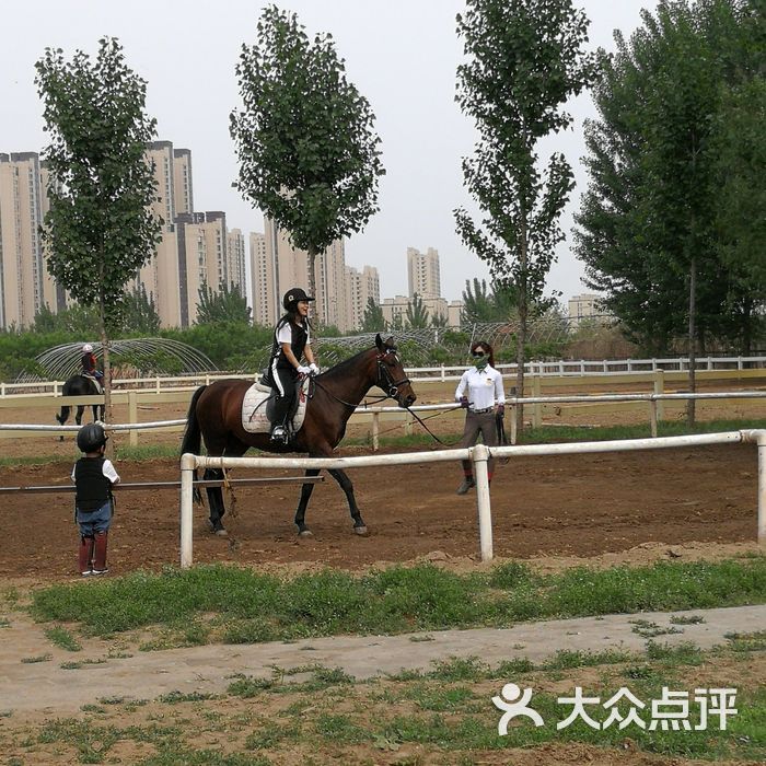 乐奇国际马术俱乐部