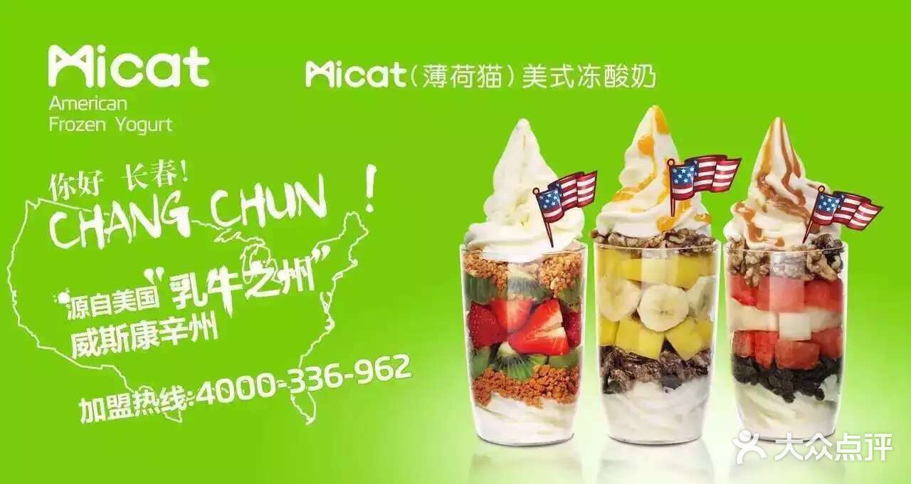 micat薄荷猫美式冻酸奶(欧亚卖场店)图片 第1张