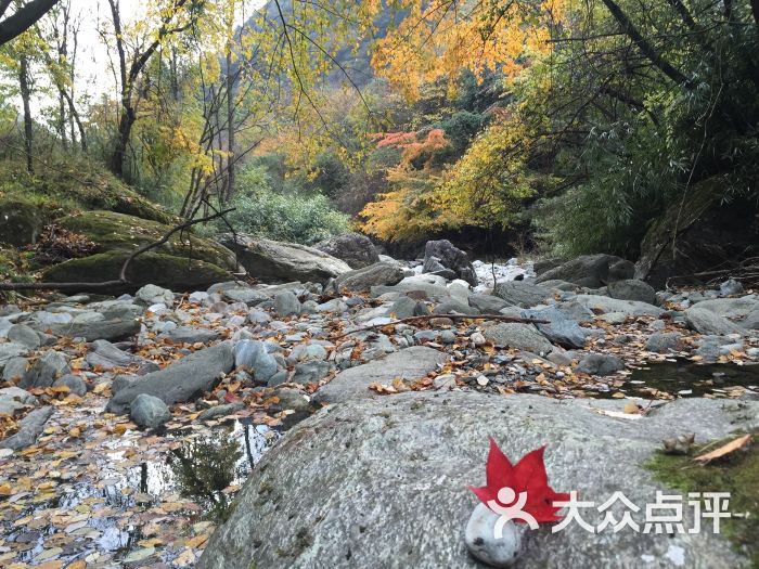 广元唐家河风景区的全部评价-青川县-大众点评网