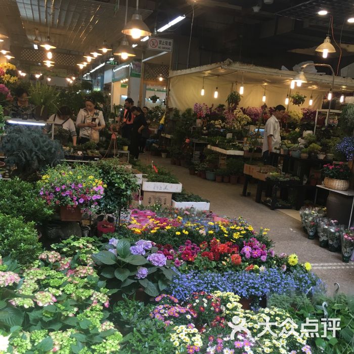 双季花艺园艺市场(浦东花鸟市场店)-图片-上海购物