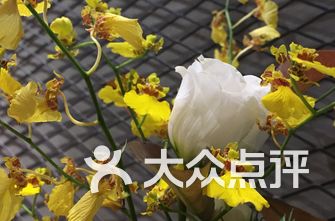 融合菜的含义 oWY4kAnJ9jbqpv3arXWz9bew3DT-uuM2fQw0LhRpW9V4oml7HuTg2opKYrPUOQ3bi-ksEVC2bnVZoKoi1_PHQQ.jpg